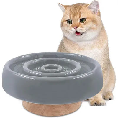 KPYTE Gamelle slow food pour chat