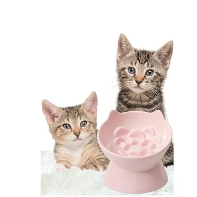 KPYTE Gamelle anti-étouffement pour chat Slow Food