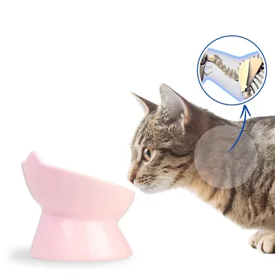 KPYTE Gamelle anti-étouffement pour chat Slow Food