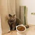 KPYTE Gamelle inclinée pour chat à pieds hauts