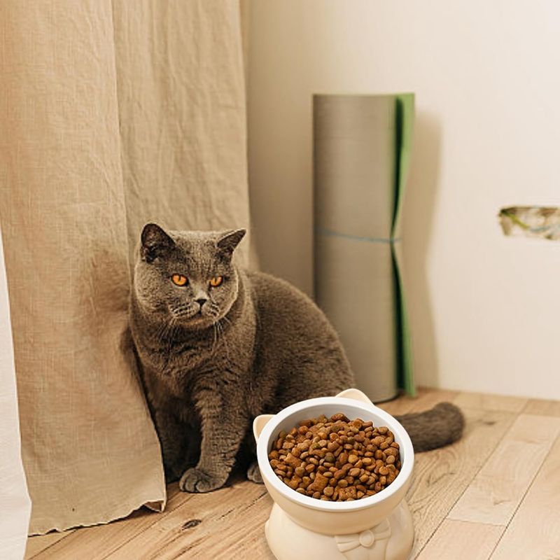 KPYTE Gamelle inclinée pour chat à pieds hauts