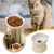 KPYTE Gamelle inclinée pour chat à pieds hauts
