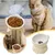 KPYTE Gamelle inclinée pour chat à pieds hauts