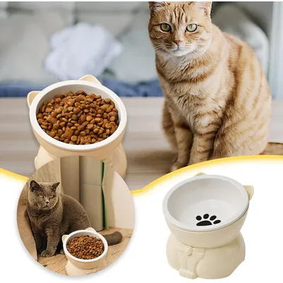 KPYTE Gamelle inclinée pour chat à pieds hauts