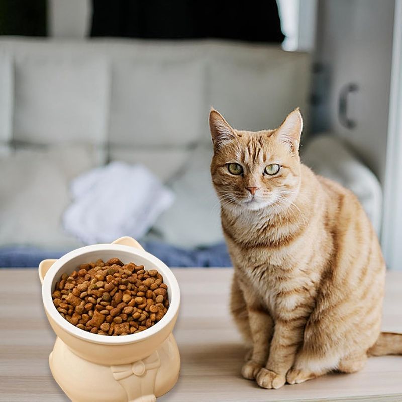 KPYTE Gamelle inclinée pour chat à pieds hauts