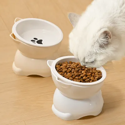 KPYTE Gamelle inclinée pour chat à pieds hauts