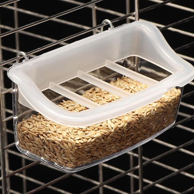 ZENITHMIND Boîte d'alimentation pour Oiseaux