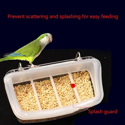 ZENITHMIND Boîte d'alimentation pour Oiseaux ZENITHMIND Boîte d'alimentation pour Oiseaux