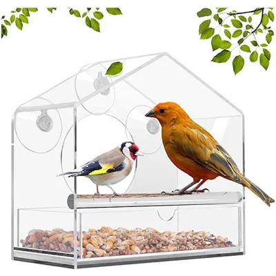 ZENITHMIND Mangeoire À Oiseaux De Fenêtre