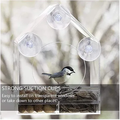 ZENITHMIND Mangeoire À Oiseaux De Fenêtre