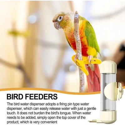 ZENITHMIND mangeoire automatique pour oiseaux de 200 ml