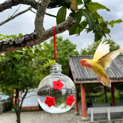 ZENITHMIND Mangeoire à colibris,7.3*6*6