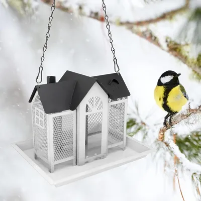 ZENITHMIND Valise de Voyage pour Animaux de Compagnie