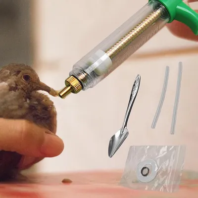 ZENITHMIND Seringue pour aliments pour jeunes oiseaux