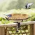 ZENITHMIND Bain d'oiseaux pour balustrade