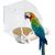 ZENITHMIND Mangeoire à oiseaux pour cage