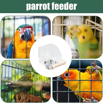 ZENITHMIND Mangeoire à oiseaux pour cage