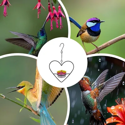 ZENITHMIND 3 x mangeoires d'eau d'extérieur pour colibris