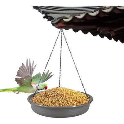 ZENITHMIND Mangeoire à Oiseaux Suspendue