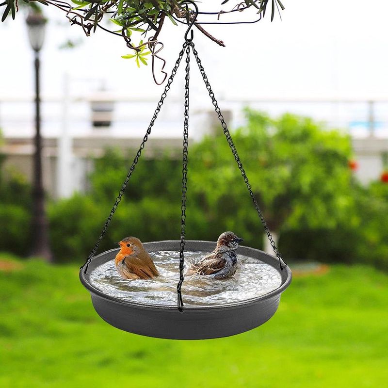 ZENITHMIND Mangeoire à Oiseaux Suspendue