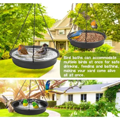 ZENITHMIND Mangeoire à Oiseaux Suspendue