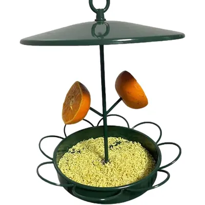 ZENITHMIND Mangeoire à oiseaux à suspendre