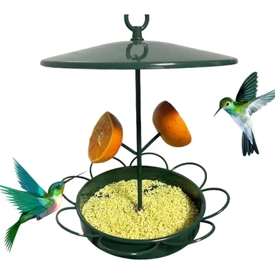 ZENITHMIND Mangeoire à oiseaux à suspendre