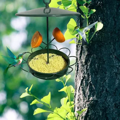 ZENITHMIND Mangeoire à oiseaux à suspendre