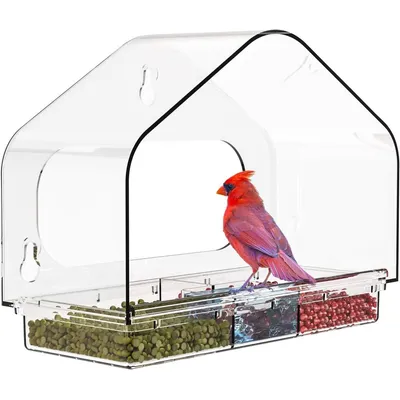 ZENITHMIND Mangeoire à oiseaux d'extérieur