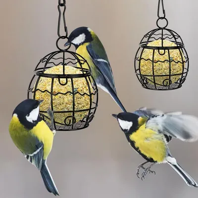 ZENITHMIND Métal Mangeoire Oiseaux Exterieur ZENITHMIND Métal Mangeoire Oiseaux Exterieur