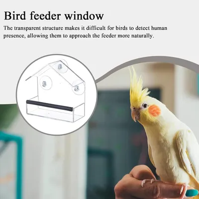 ZENITHMIND Mangeoire À Oiseaux De Fenêtre