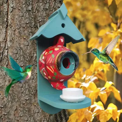 ZENITHMIND Abris d'oiseaux décoratifs colorés