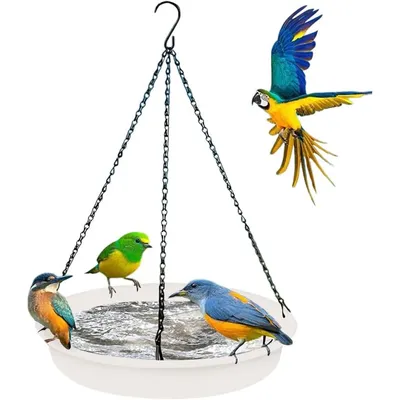 ZENITHMIND Mangeoire à Oiseaux Suspendue
