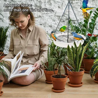 ZENITHMIND Mangeoire à Oiseaux Suspendue