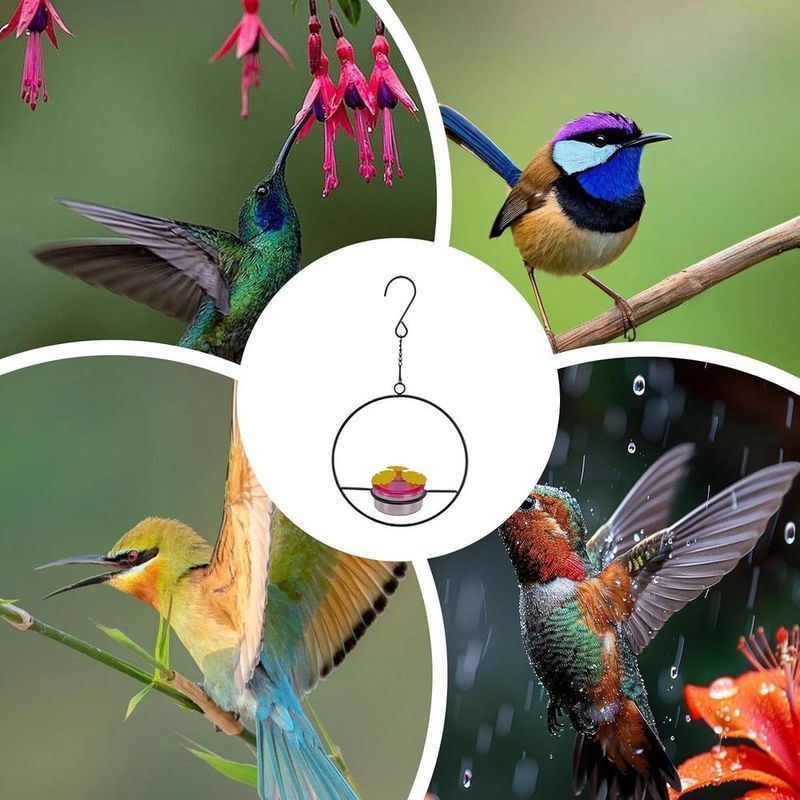 ZENITHMIND 3 x mangeoires d'eau d'extérieur pour colibris
