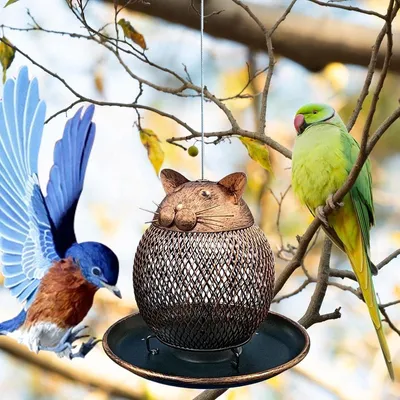 ZENITHMIND Mangeoires à Oiseaux à Cadre en Métal