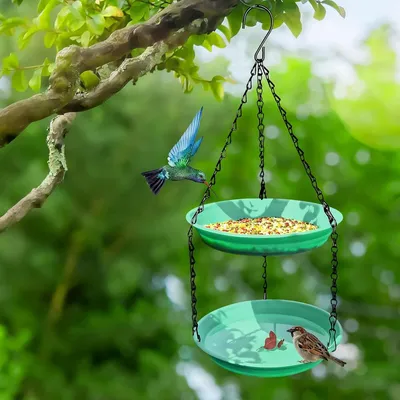 ZENITHMIND Mangeoire à eau à suspendre pour oiseaux