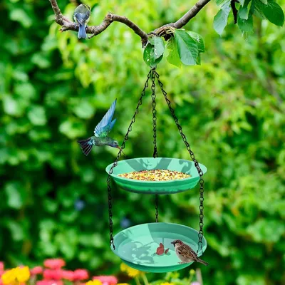 ZENITHMIND Mangeoire à eau à suspendre pour oiseaux