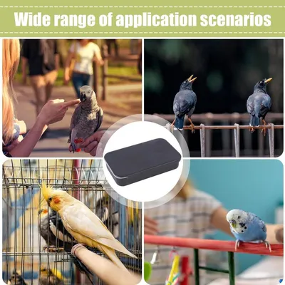 ZENITHMIND Mini boîte d'alimentation ZENITHMIND Mini boîte d'alimentation