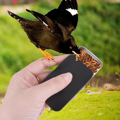 ZENITHMIND Mini boîte d'alimentation