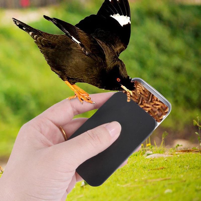 ZENITHMIND Mini boîte d'alimentation