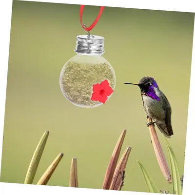 ZENITHMIND Mangeoire à colibris,4.8*4.8*6