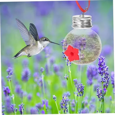 ZENITHMIND Mangeoire à colibris,4.8*4.8*6