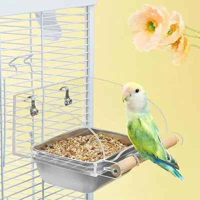 ZENITHMIND Mangeoire à oiseaux pour cage