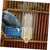 ZENITHMIND Abreuvoir pour Oiseaux