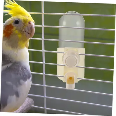 ZENITHMIND Abreuvoir pour Oiseaux