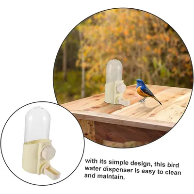 ZENITHMIND Abreuvoir pour Oiseaux