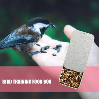 ZENITHMIND Mini boîte d'alimentation