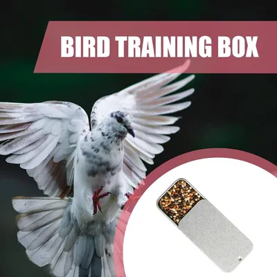 ZENITHMIND Mini boîte d'alimentation