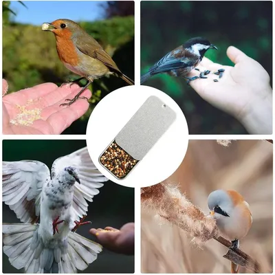 ZENITHMIND Mini boîte d'alimentation